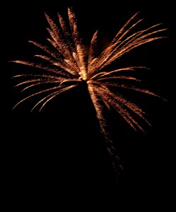 Firework2