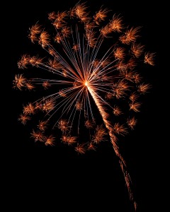 Firework4