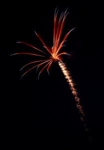 Firework5