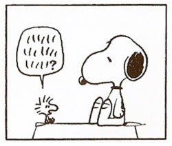 Snoopy + Woodstock