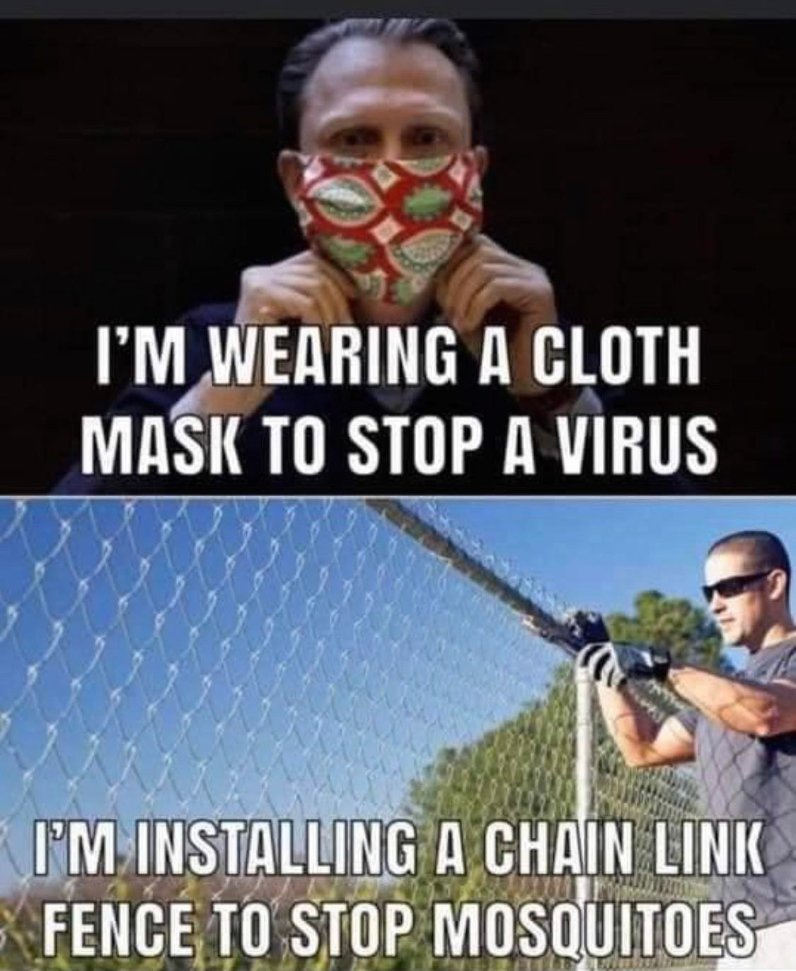 Mask-Fence-Mosquito Meme